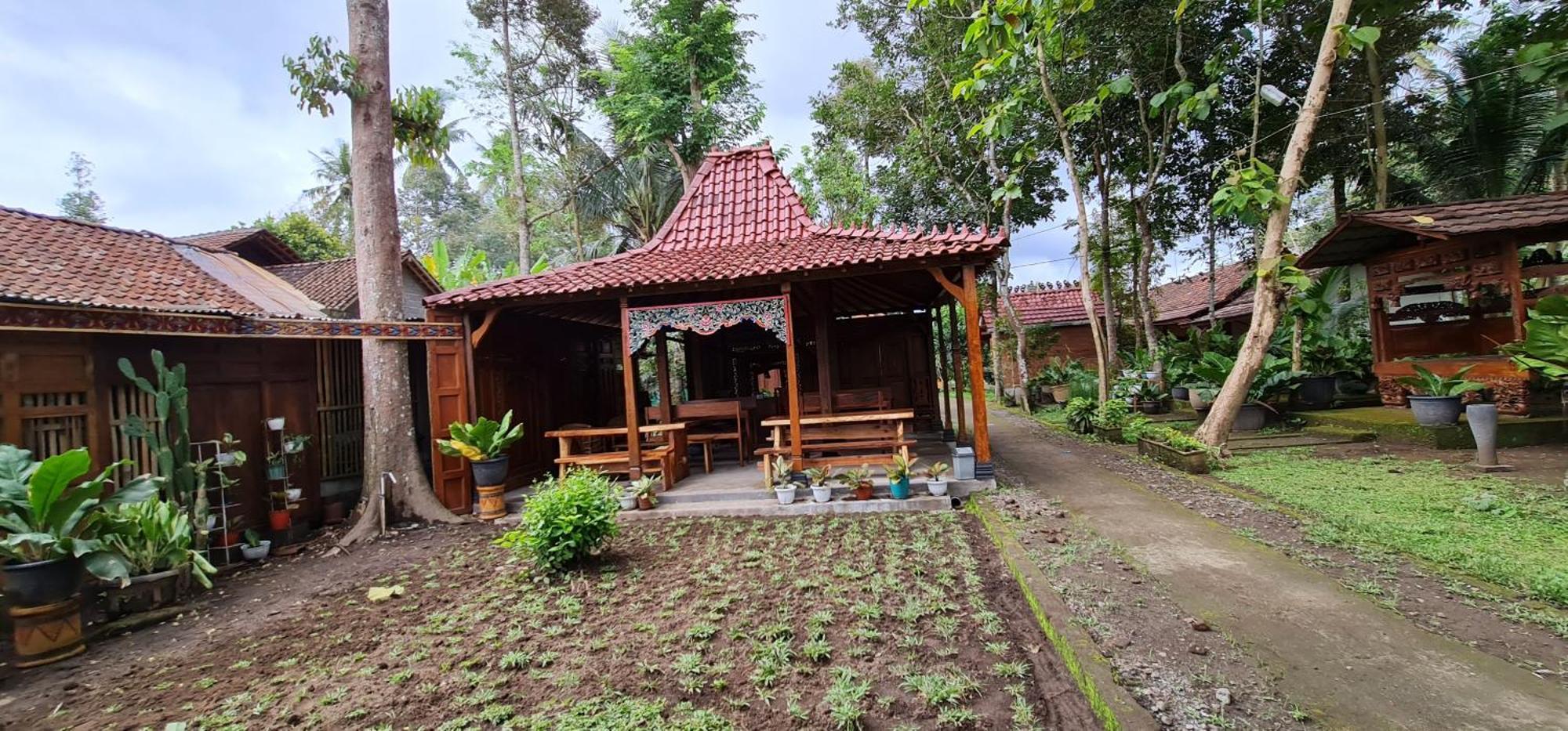 Anugrah Borobudur 2*
