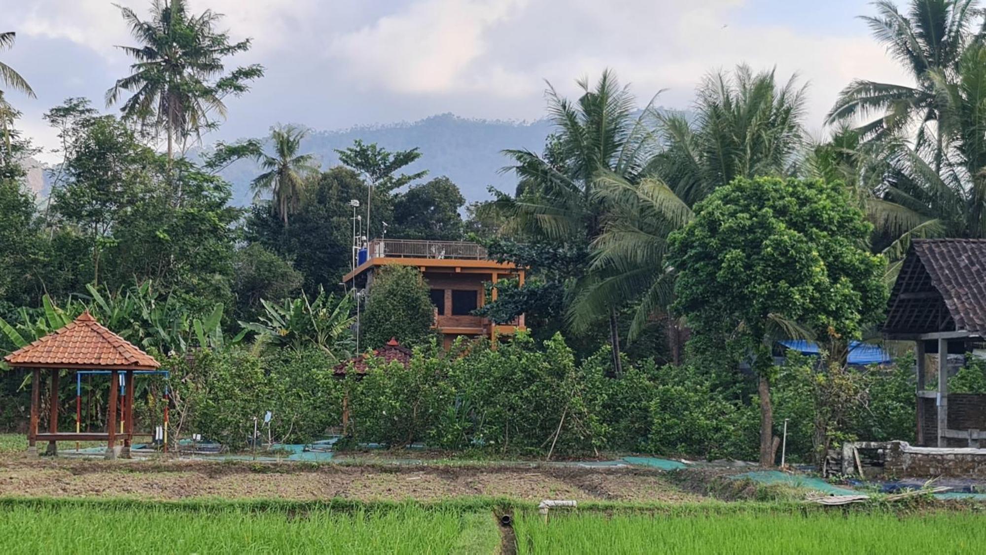 Anugrah Borobudur गेस्ट हाउस 2*