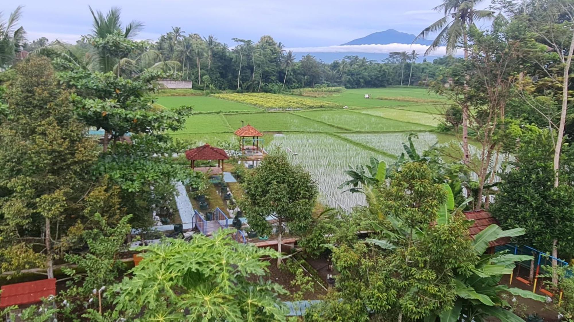 Anugrah Borobudur गेस्ट हाउस Magelang