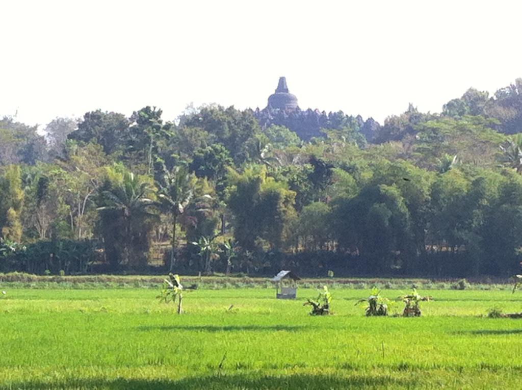 गेस्ट हाउस Anugrah Borobudur 2*